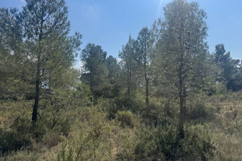 Terra a Cretas, Teruel, Cretas - € 23.000 | Ref: Ahmed - foto 3